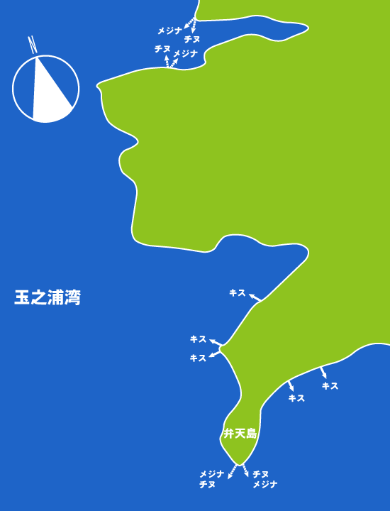 119 玉之浦湾（玉之浦町）:都丸,大鳥丸