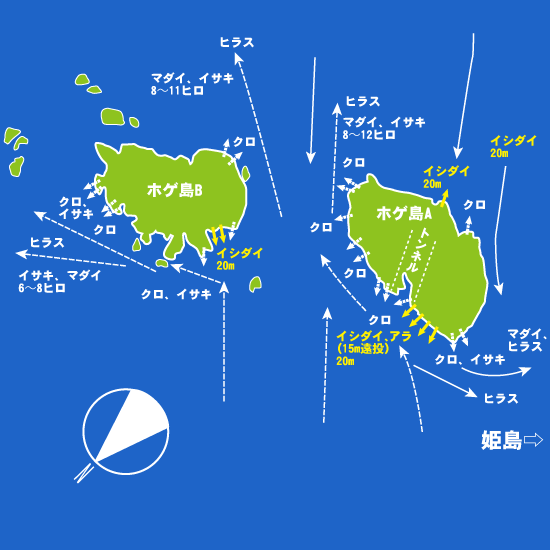 171 福江島・ホゲ島:せいわ,航輝