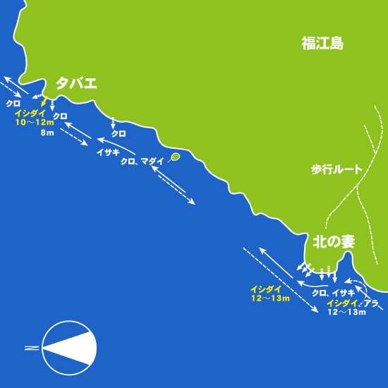 188 大瀬崎・汐バエ、北の妻:大鳥丸